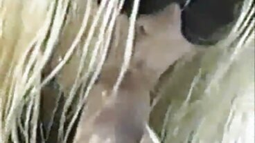 Muka vidio lucah arab Duduk lucah dengan Aida yang bersemangat dari 18 VideoZ